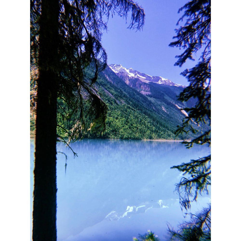 
                  
                    Boreal Forest | Kinney Lake
                  
                