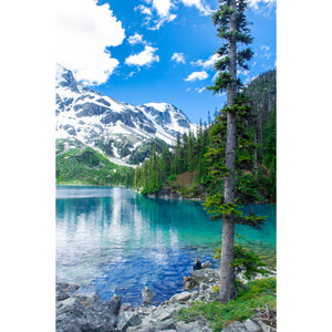 
                  
                    Daytripper | British Columbia Collection
                  
                