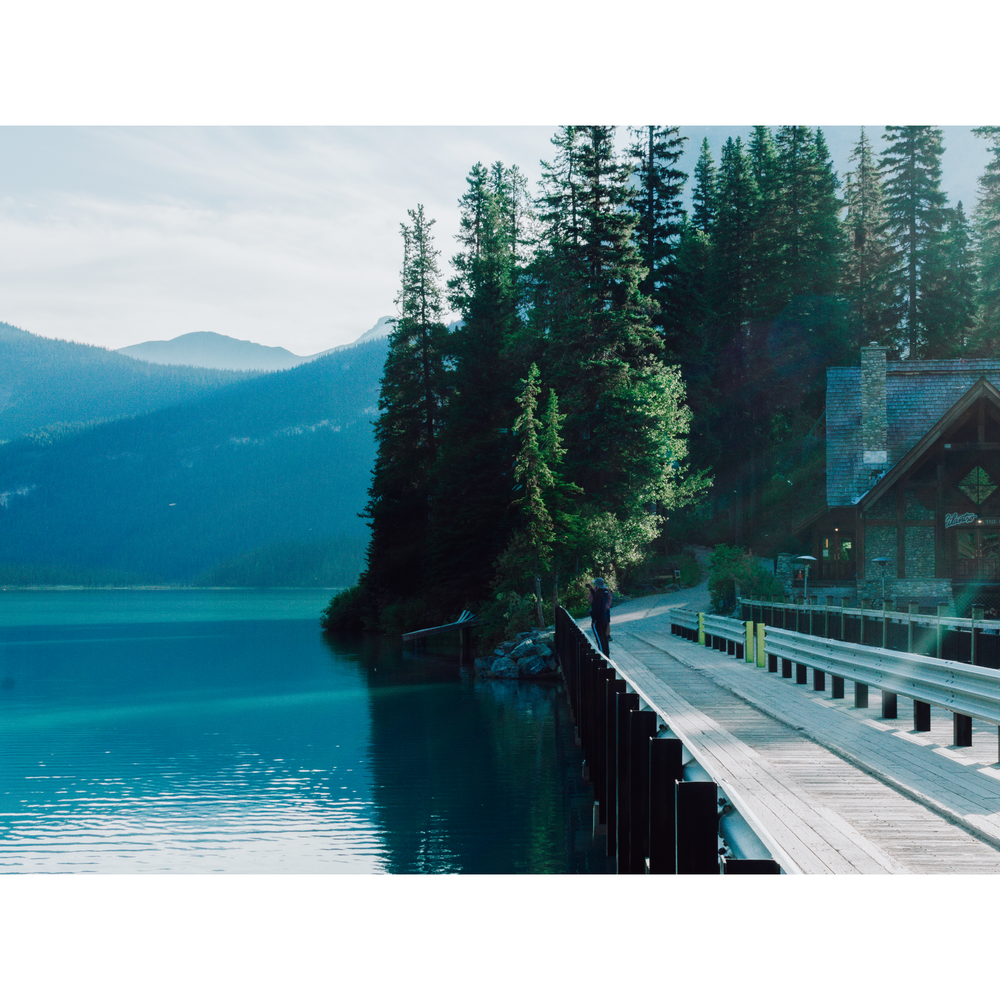 
                  
                    Western Cedar + White Pine | Emerald Lake
                  
                
